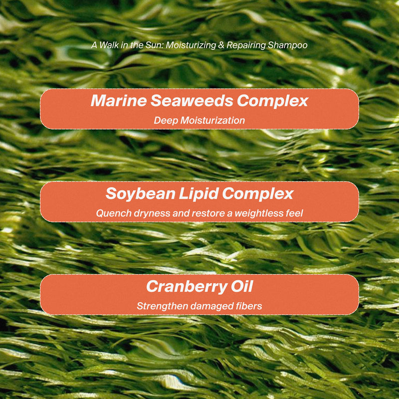A Walk in the Sun : Shampooing Hydratant & Réparateur