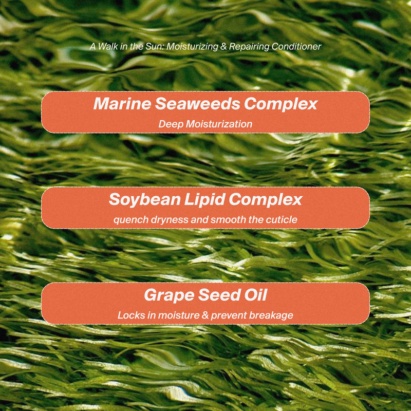 A Walk in the Sun : Revitalisant Hydratant & Réparateur