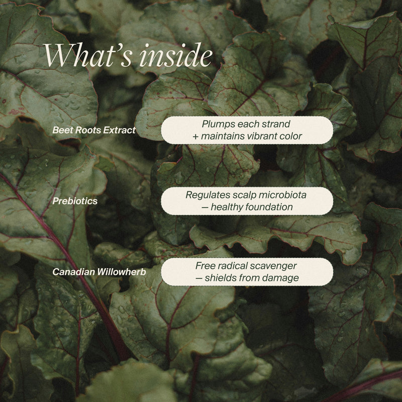 Strengthening Shampoo