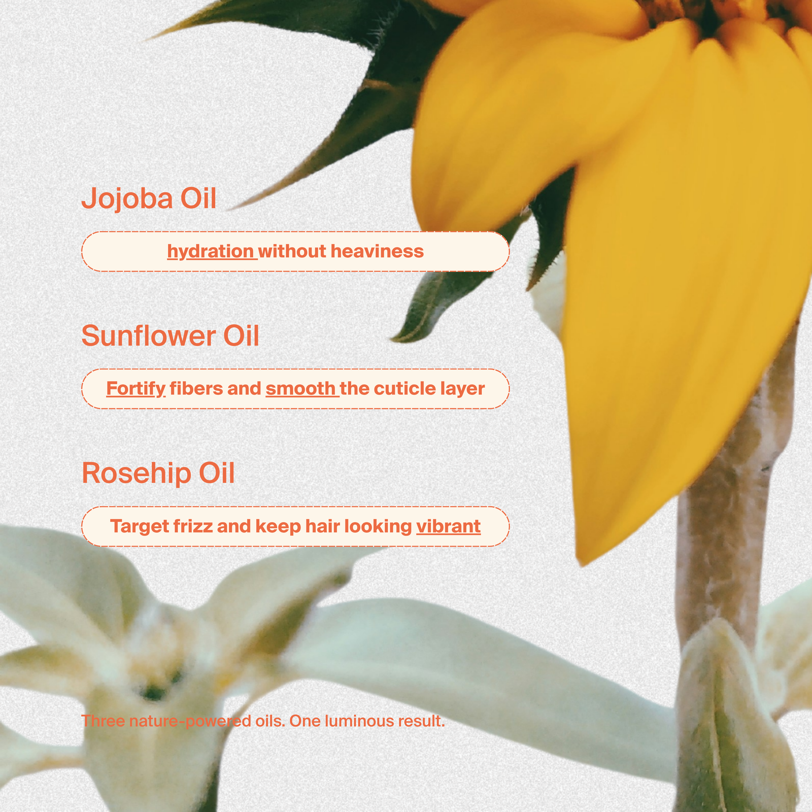 A Walk in the Sun : Huile Somptueuse Pour Les Cheveux