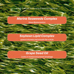 A Walk in the Sun :  Revitalisant Hydratant & Réparateur