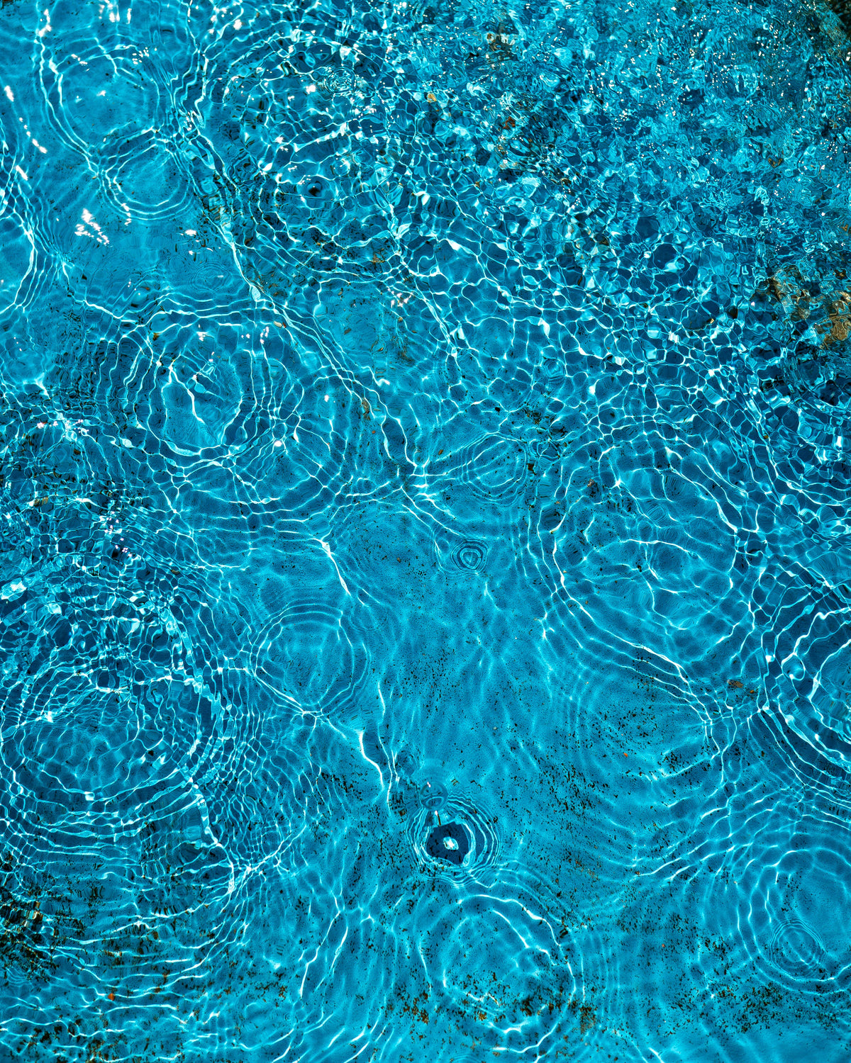 A cool breeze for roots.
