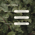 Strengthening Shampoo