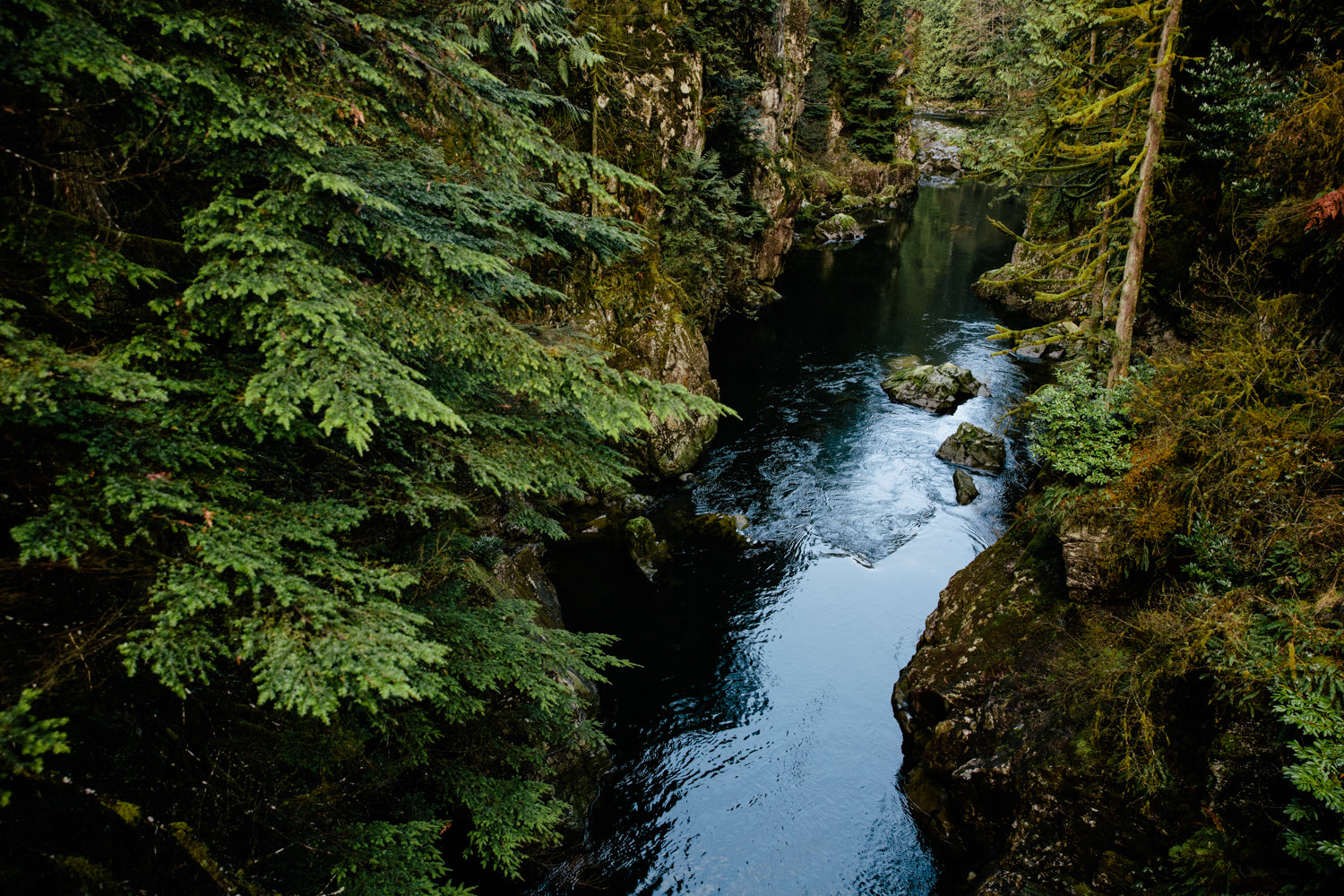 From Canadian earth to your scalp:the Voir hair Story