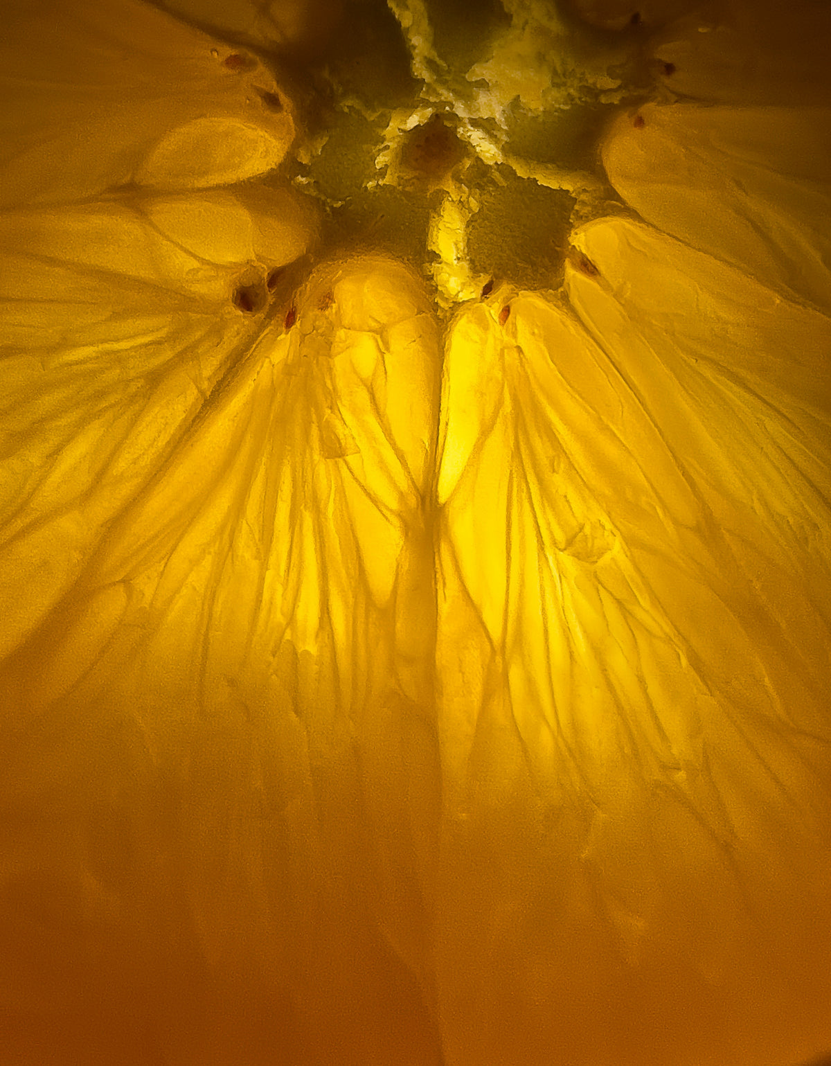 Sunlight in a bottle.