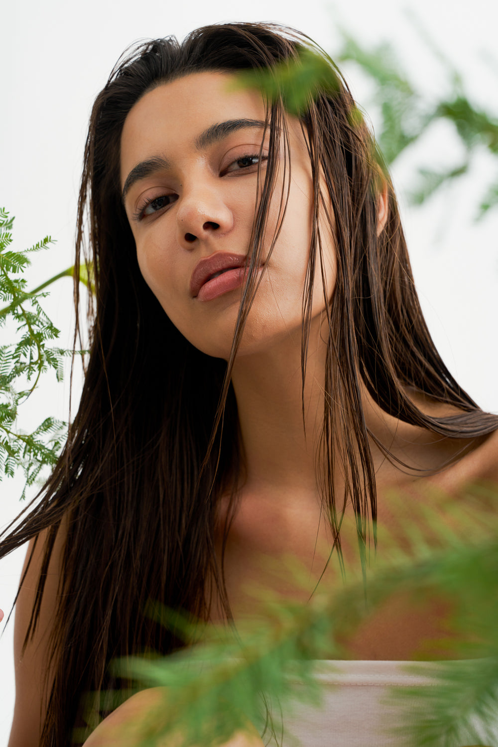 We are from Canada. We are Voir hair.